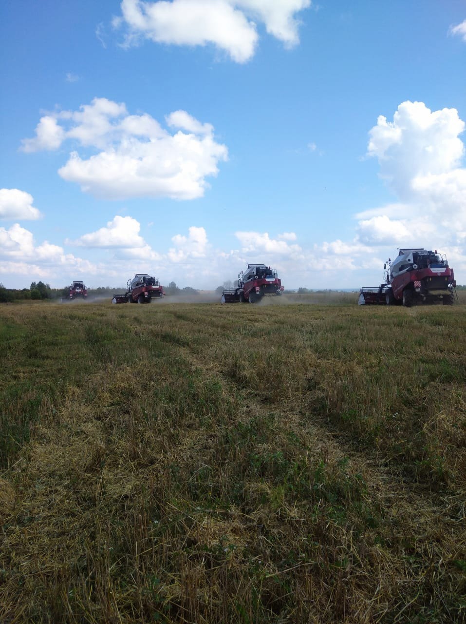 В Малмыжском районе продолжается уборочная компания.