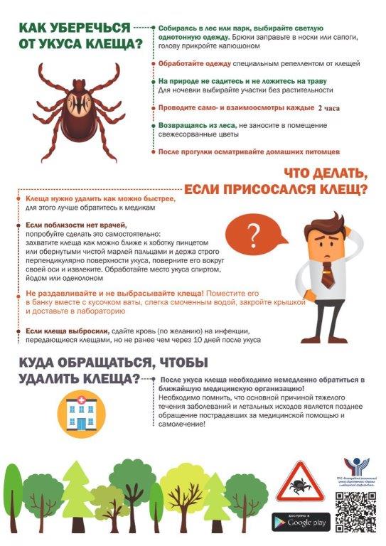 Клещи активизировались.