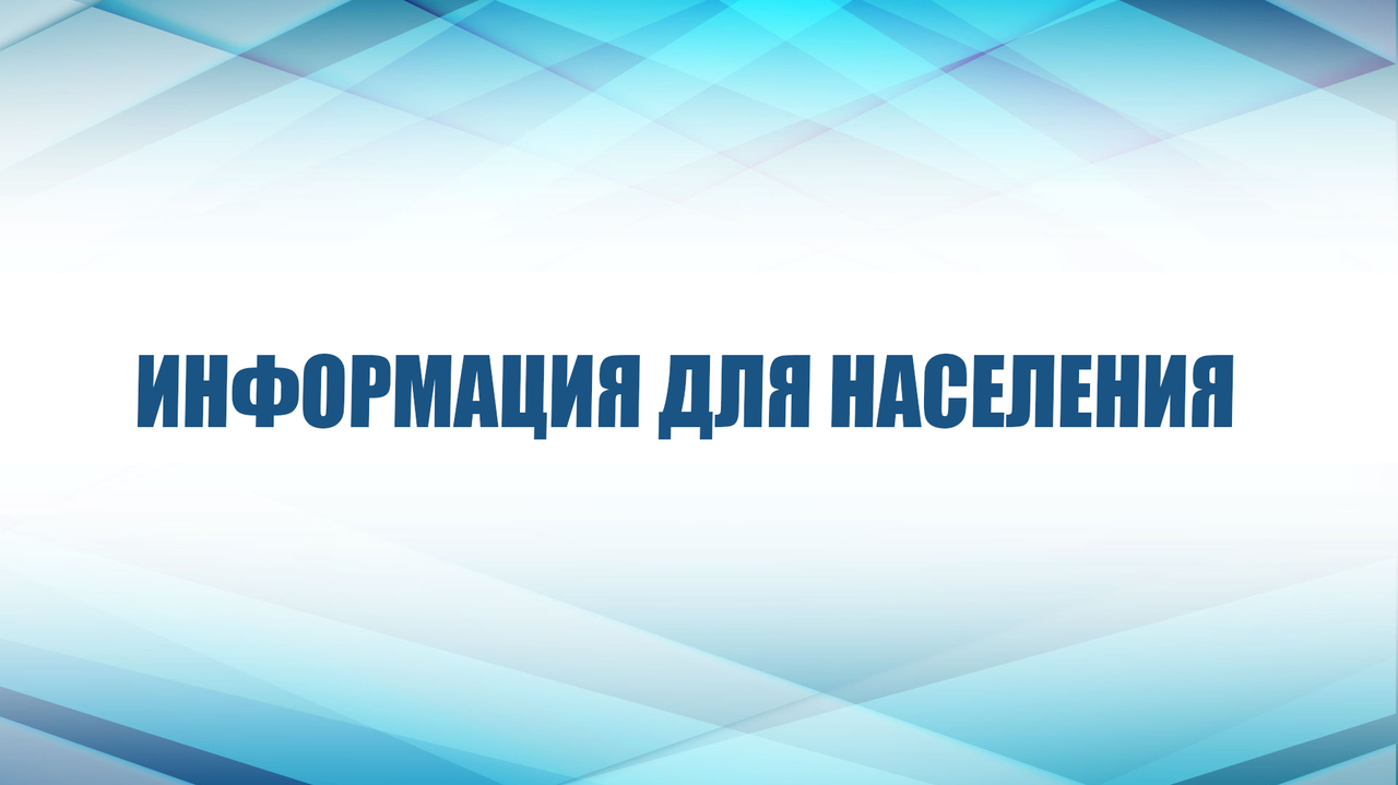 Об организации отлова животных без владельцев в 2023 году на территории Кировской области.