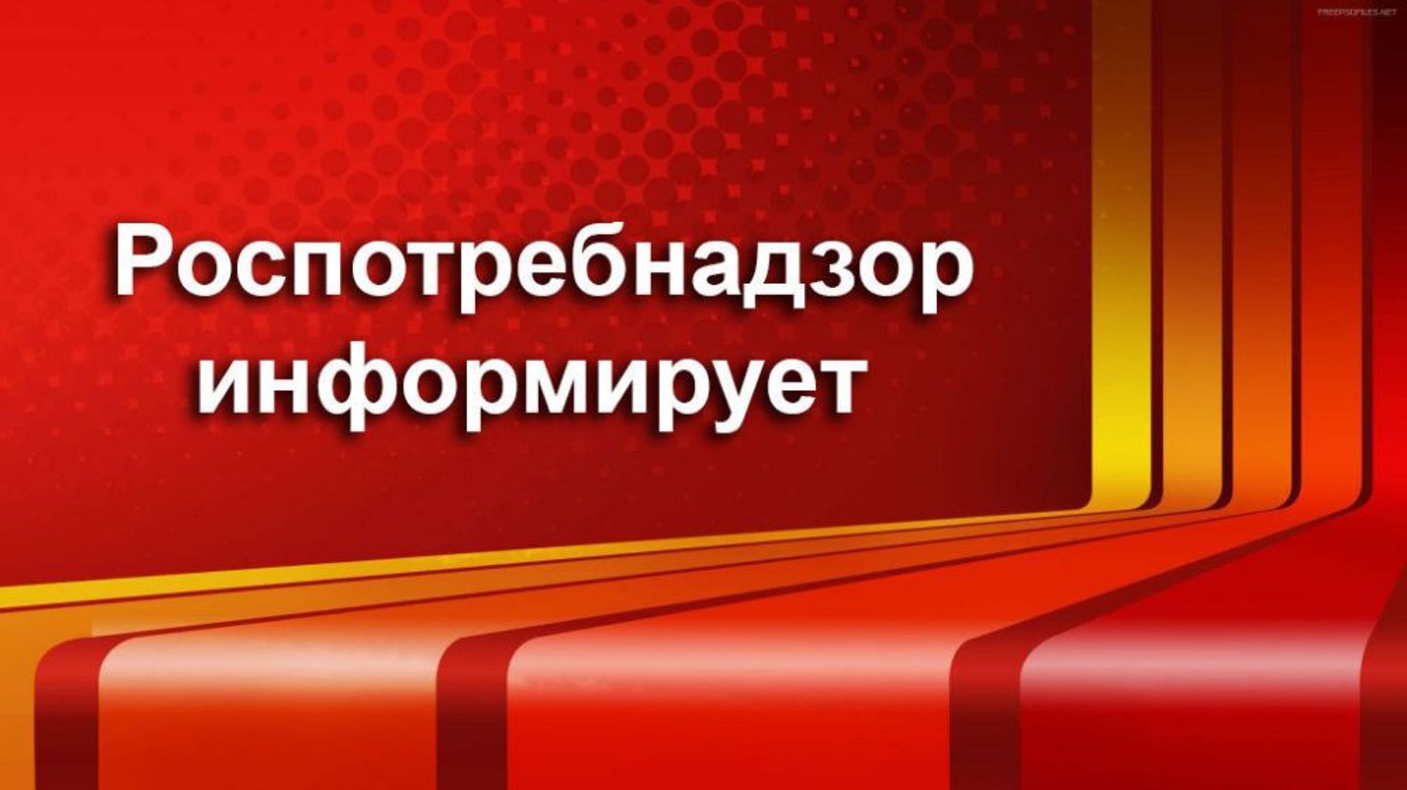 О рекомендациях, как выбрать сладкие новогодние подарки.