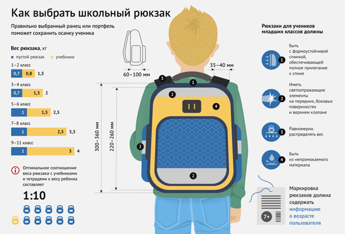 В преддверии нового учебного года  Территориальный отдел Управления Роспотребнадзора по  Кировской области в Вятскополянском районе направляет рекомендации по выбору школьного рюкзака (ранца)..