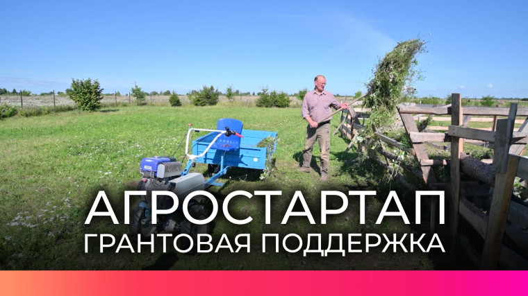 Министерство сельского хозяйства и продовольствия Кировской области объявило конкурс по отбору заявителей на предоставление грантов "Агростартап". Министерство сельского хозяйства и продовольствия Кировской области объявило конкурс по отбору заявителей на предоставление грантов "Агростартап".