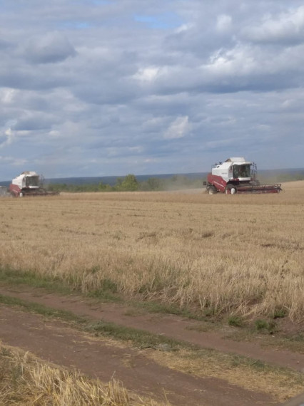 Урожай-2023. Урожай-2023.