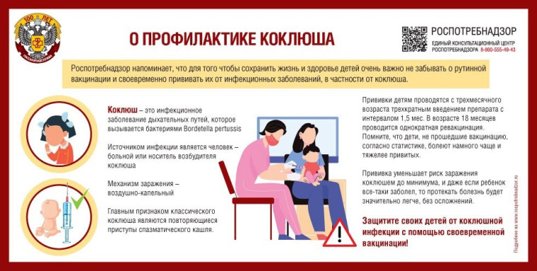 Профилактика коклюша. Профилактика коклюша.